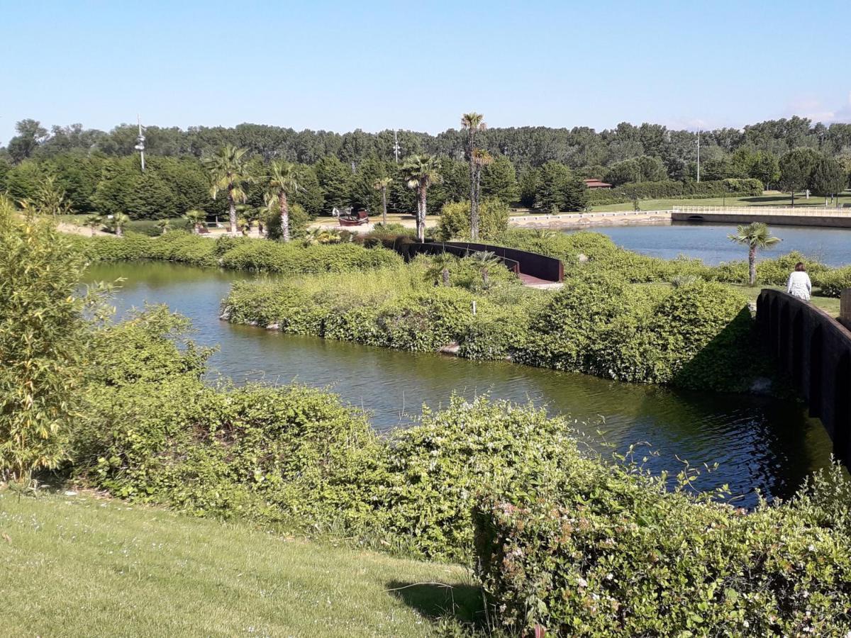 Céntrico y con encanto en tierra de vinos Logroño Esterno foto